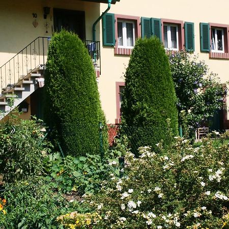 Dani'S Ferienwohnung Freiamt Bagian luar foto