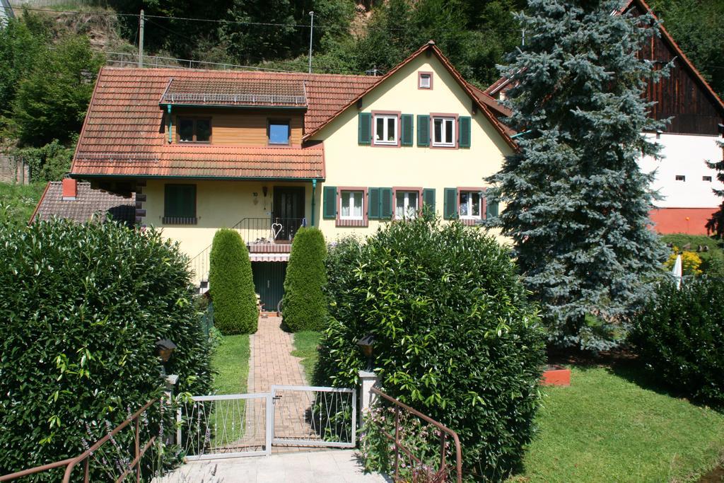 Dani'S Ferienwohnung Freiamt Bagian luar foto