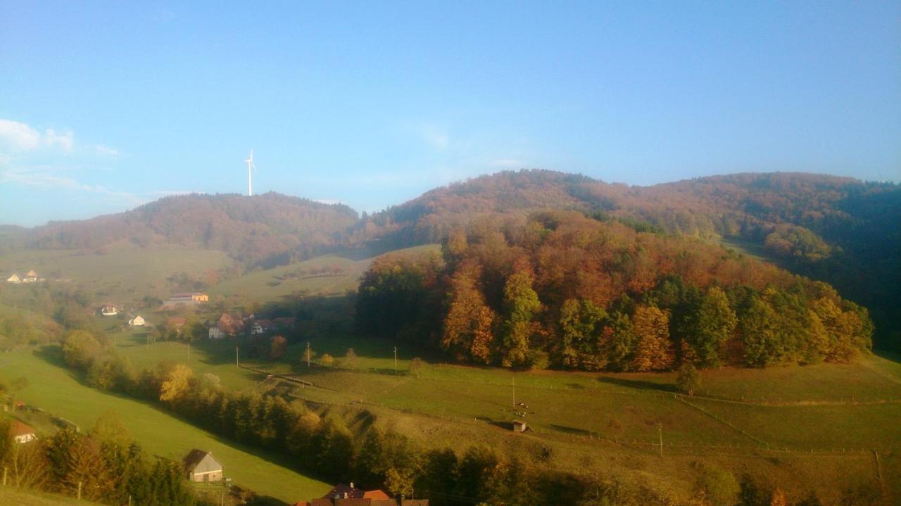Dani'S Ferienwohnung Freiamt Bagian luar foto
