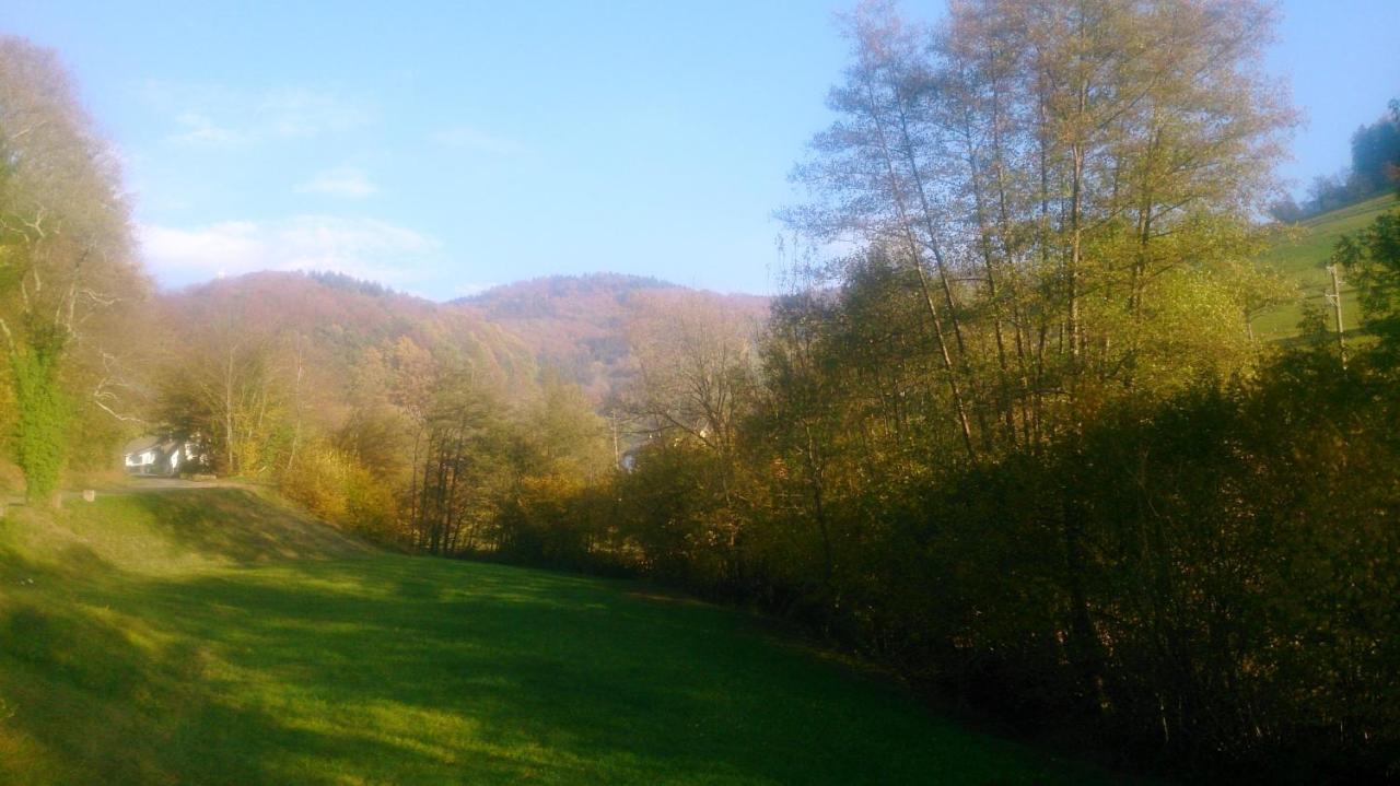 Dani'S Ferienwohnung Freiamt Bagian luar foto